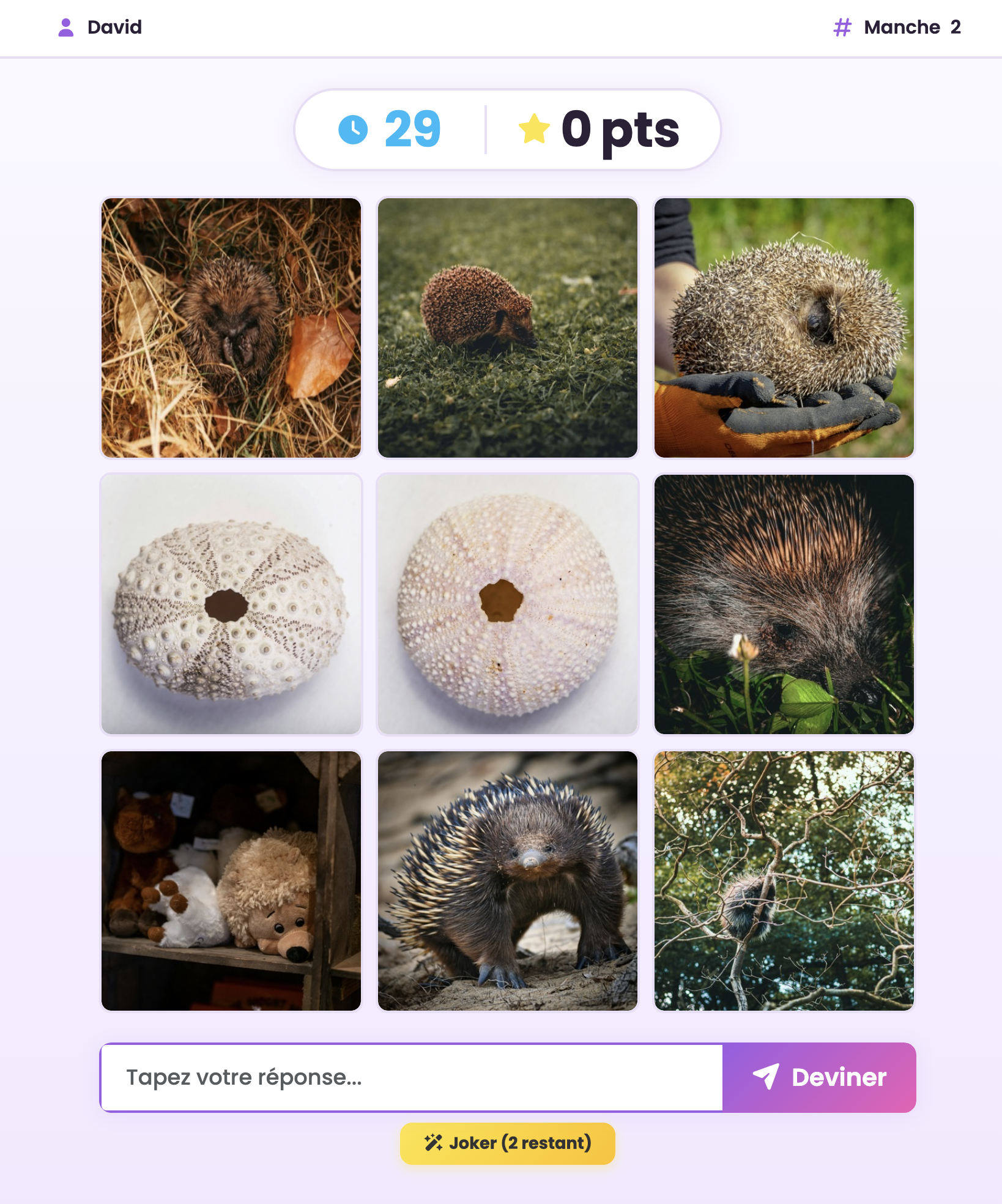 Screenshot of Guess the Word: a 3x3 grid of images to guess from